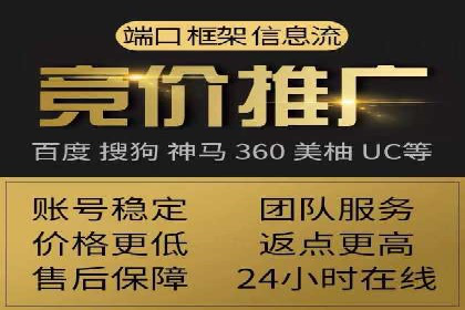 某电商平台SEM竞价广告的转化率提升案例